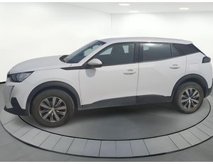 
										PEUGEOT 2008 ACTIVE BLUEHDI 81KW (110CV) 81KW 5P full									